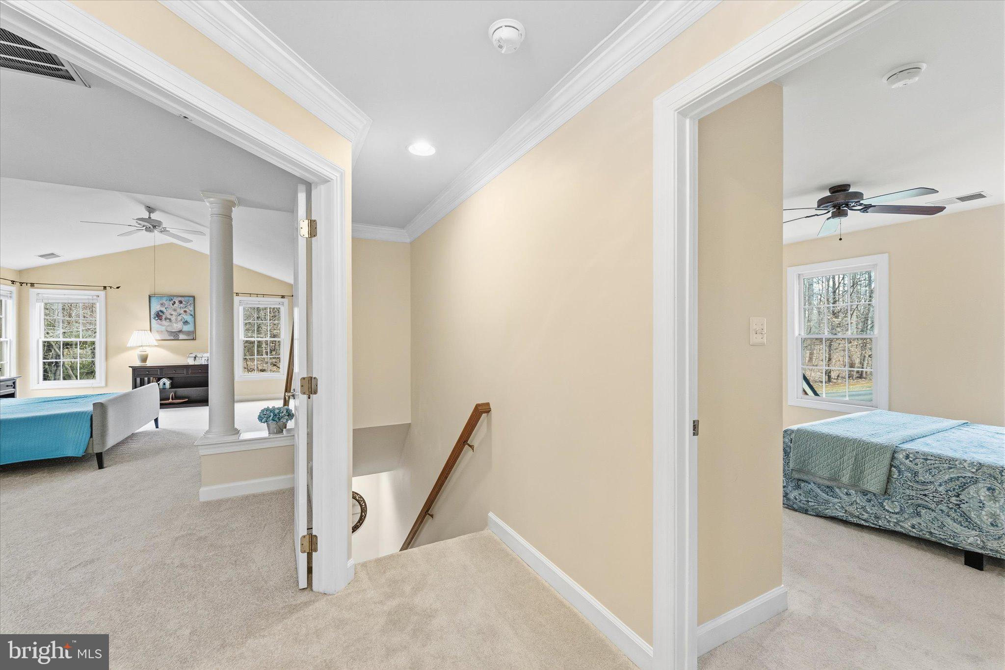 CANTERBERRY FOREST - Residential