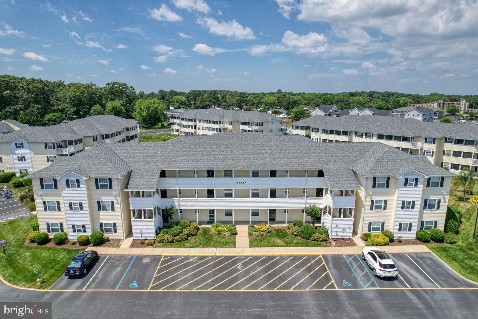 36525 PALM DRIVE 5201