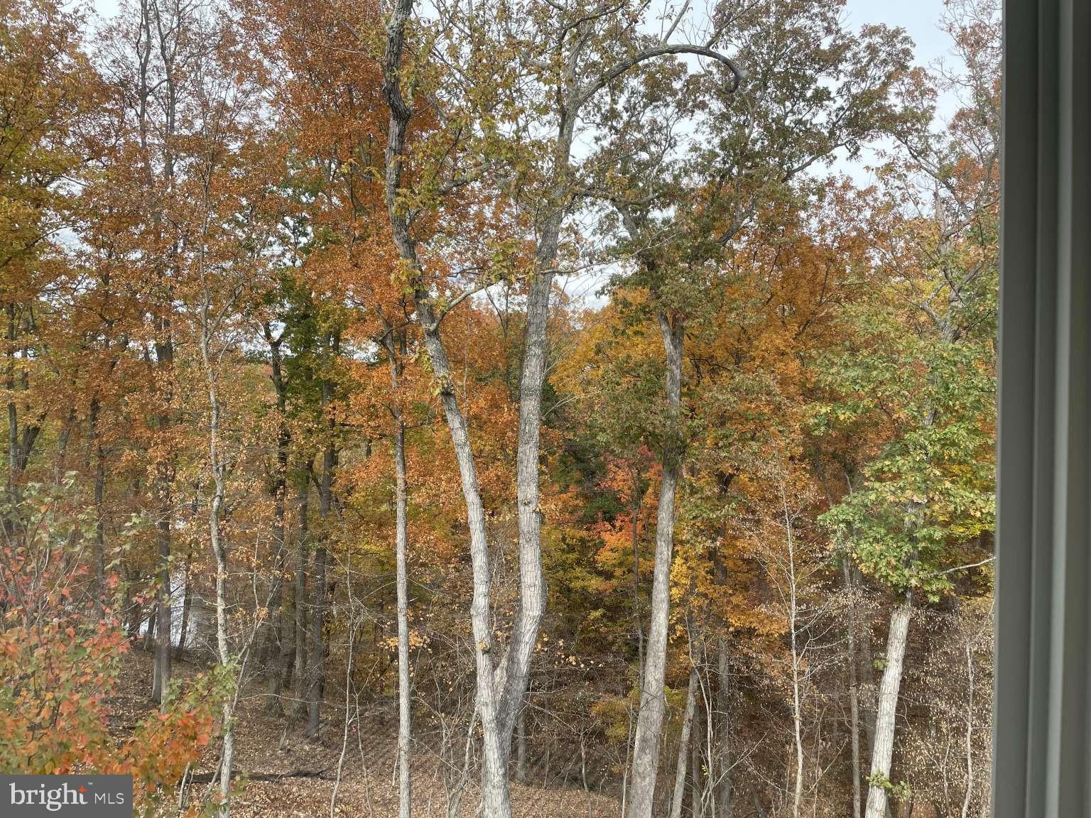 SHENANDOAH, LAKE FREDERICK - Residential