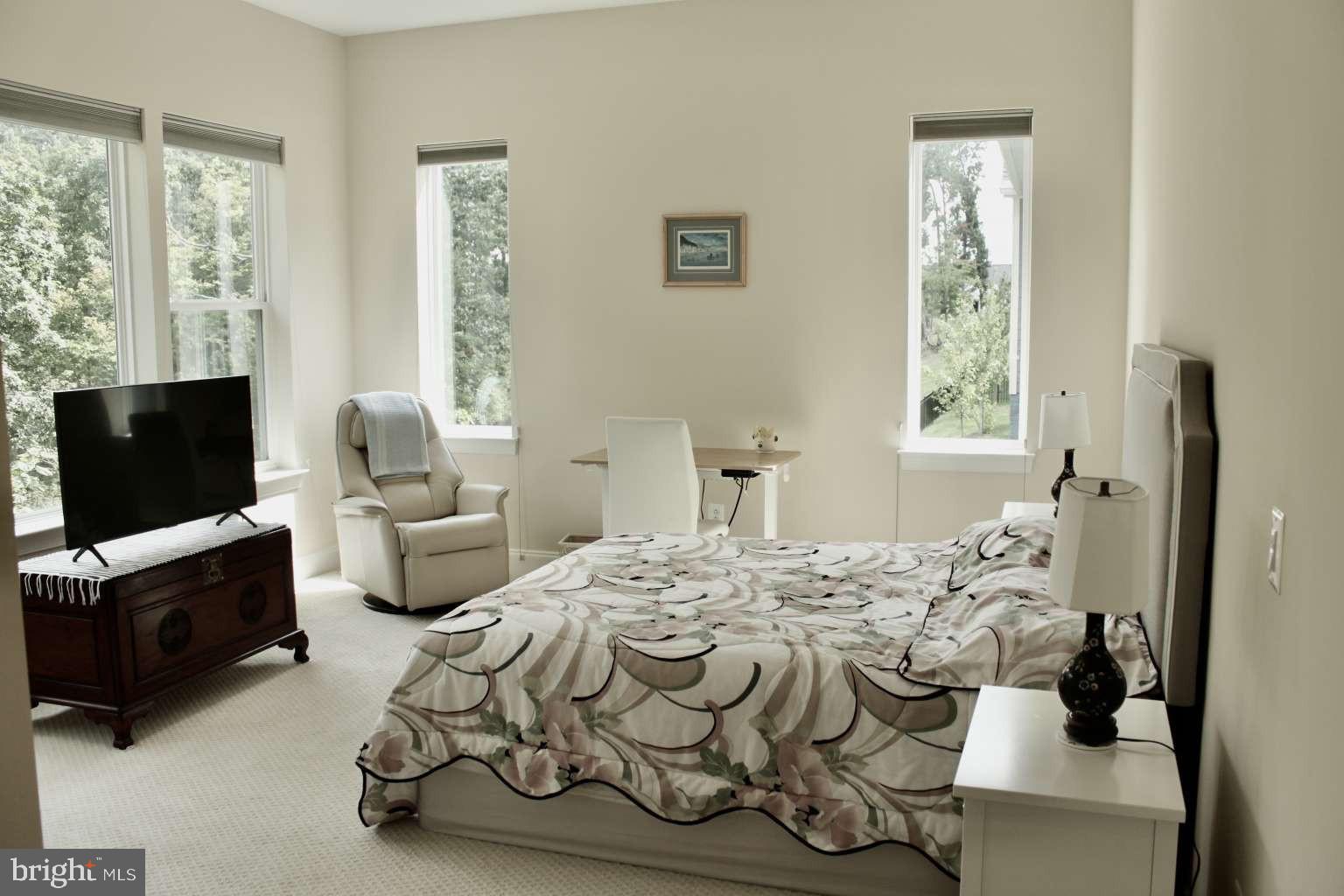 SHENANDOAH, LAKE FREDERICK - Residential