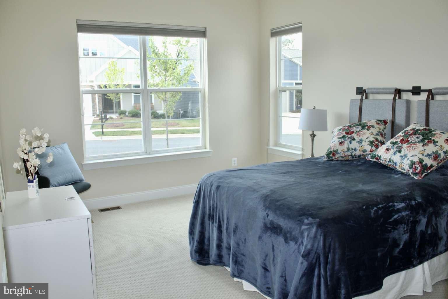 SHENANDOAH, LAKE FREDERICK - Residential