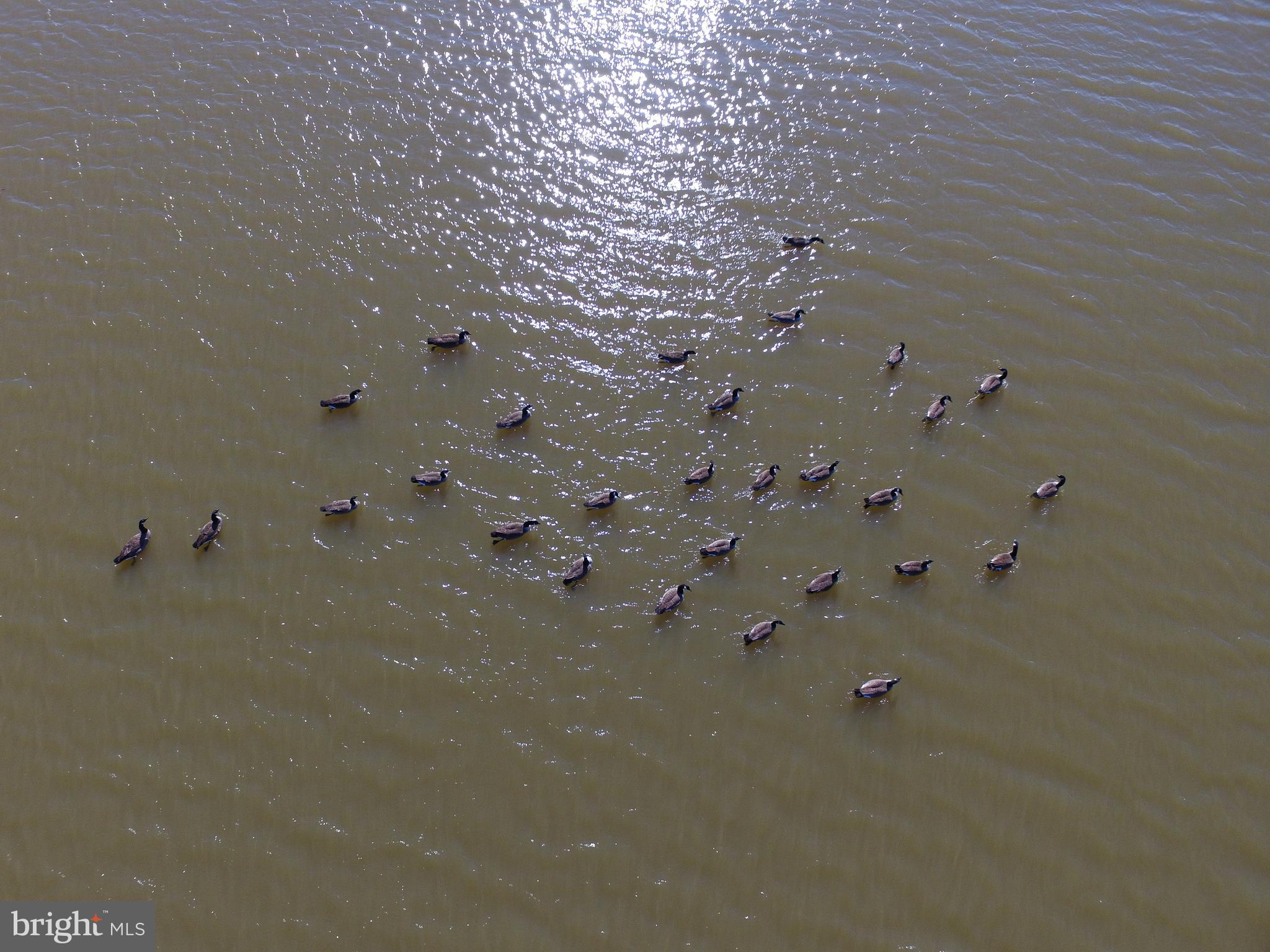 BROOKSIDE - Residential