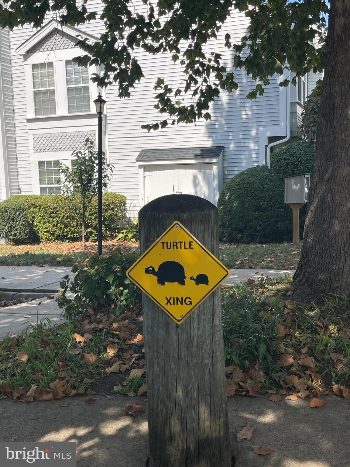 WATERS EDGE - Residential