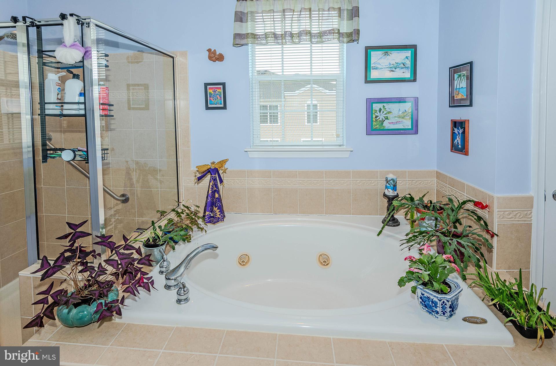 PINEY ORCHARD - Residential