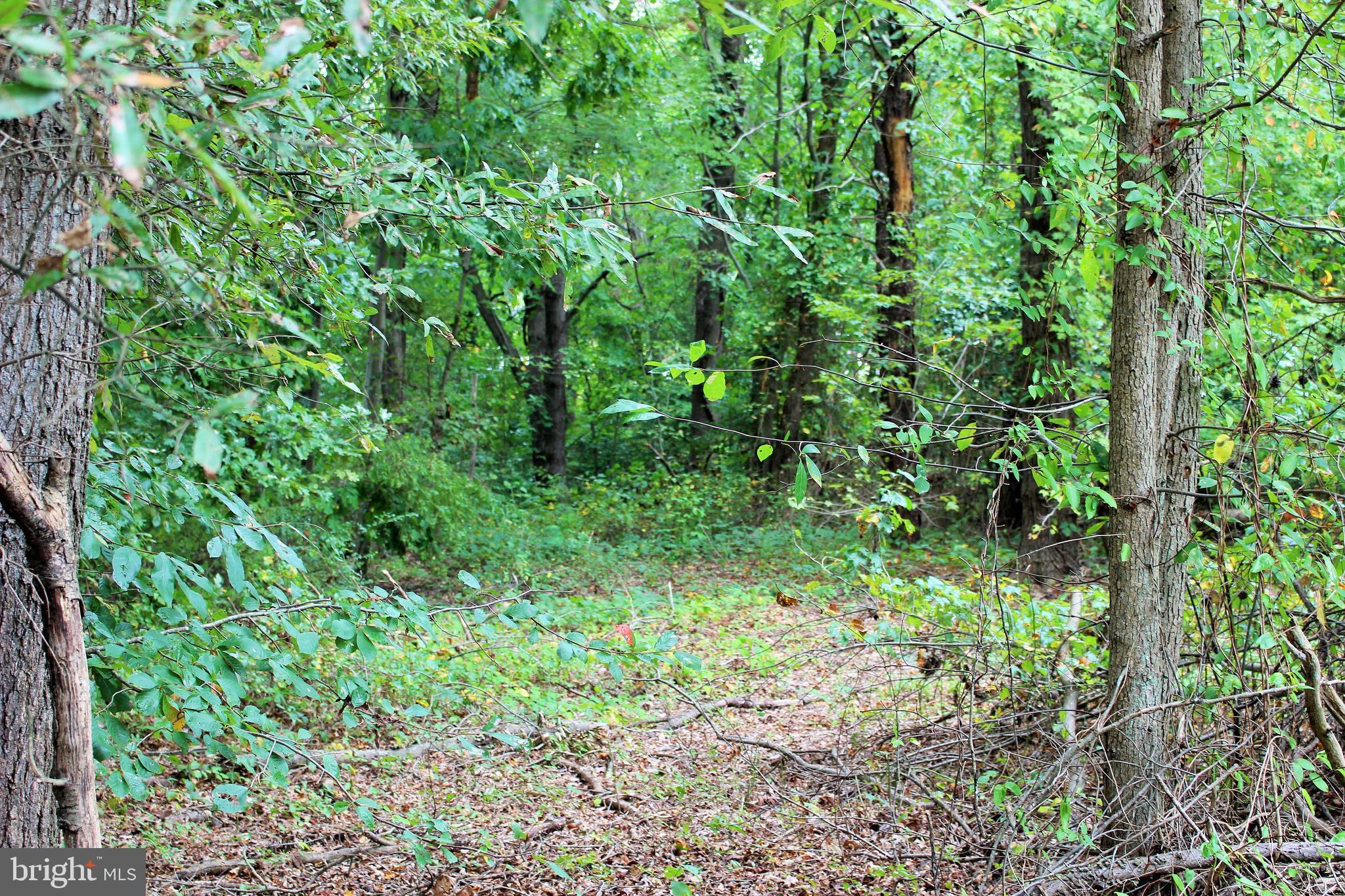 NONE AVAILABLE - Land