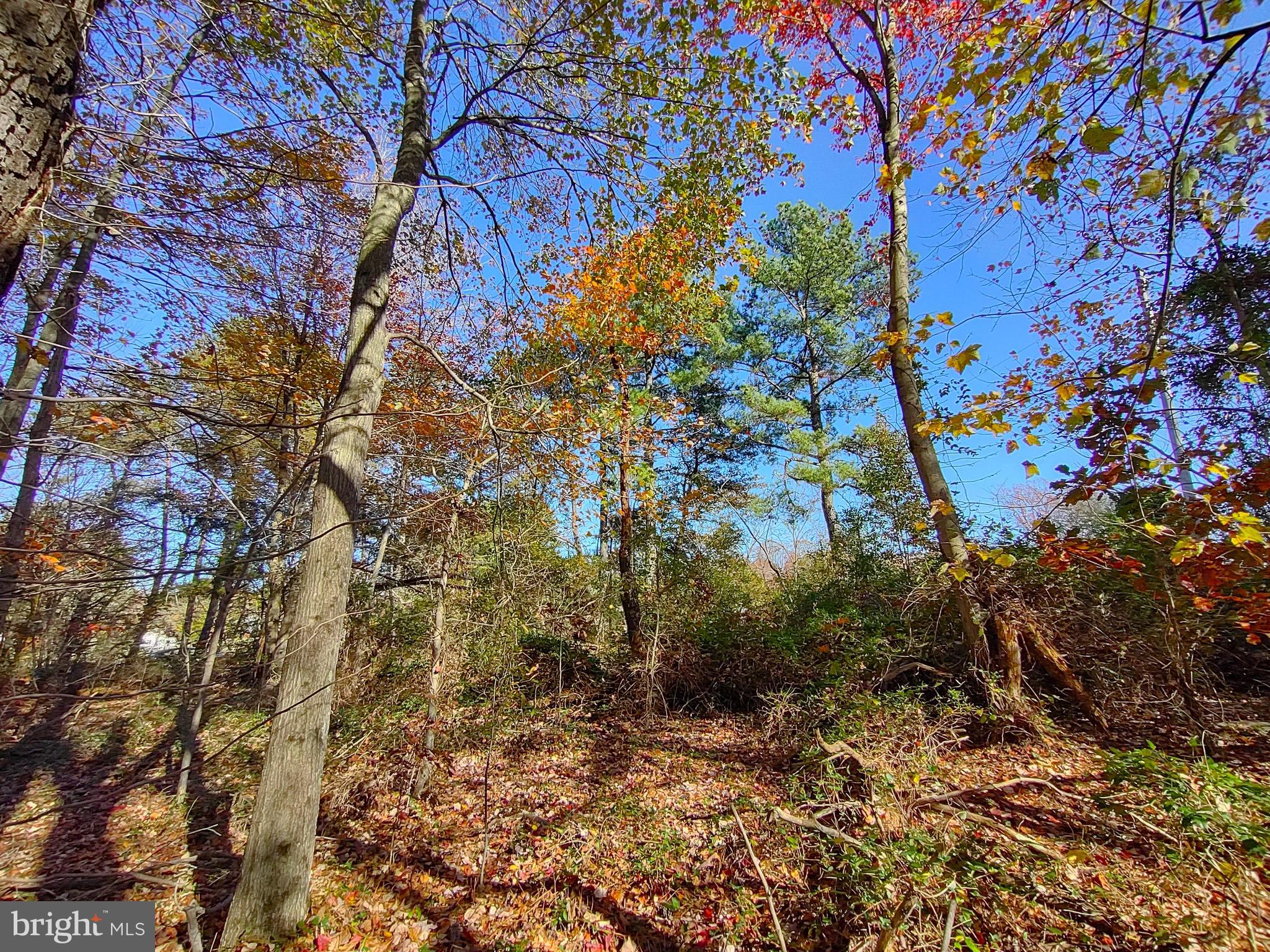 NONE AVAILABLE - Land