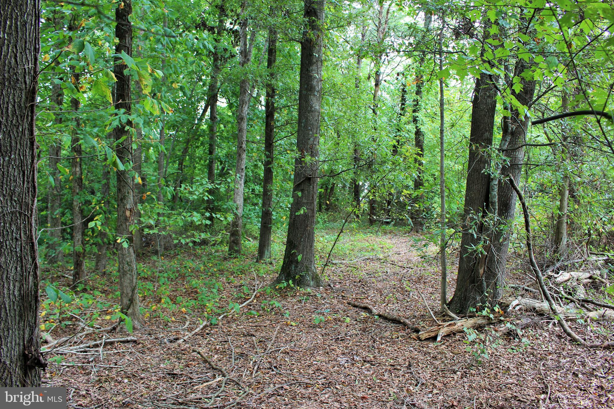 NONE AVAILABLE - Land