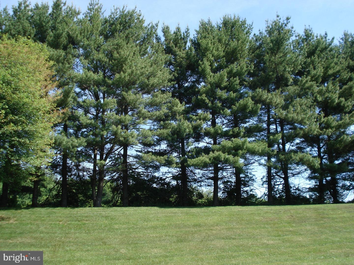 EAGLE RIDGE - Residential Lease