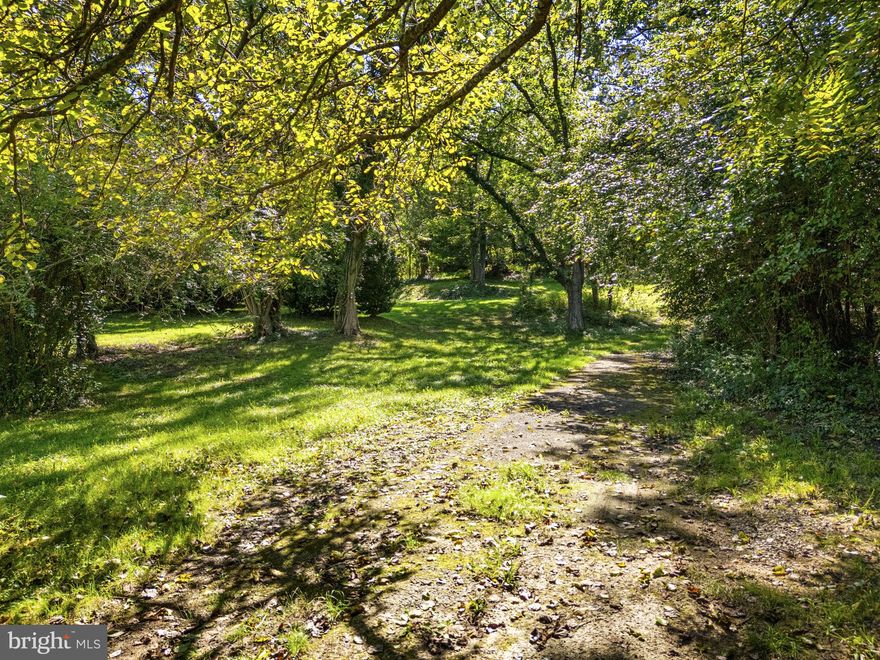 Rare opportunity in The Plains! This 1.97± acre buildable lot offers both public water and sewer taps already available—a true rarity, as new connections are no longer readily offered by the town. Ideally located just moments from charming downtown The Plains and with easy access to Route 66, this property combines convenience with the potential to create your dream home. Only 30 minutes to Dulles International Airport and less than an hour to Washington, D.C.