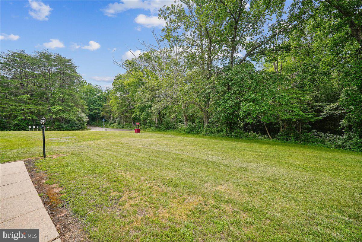 25501 FROSTY MEADOW LANE