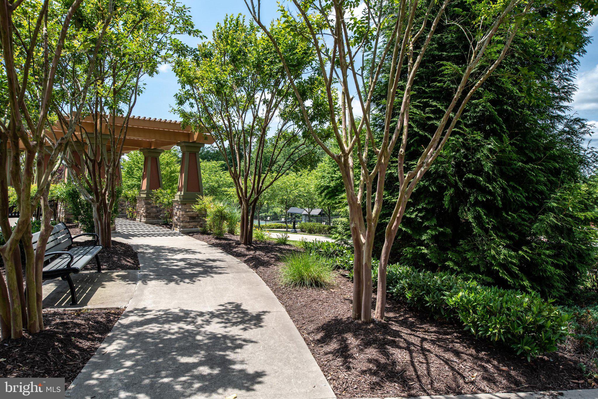 CELEBRATE VIRGINIA NORTH - Residential