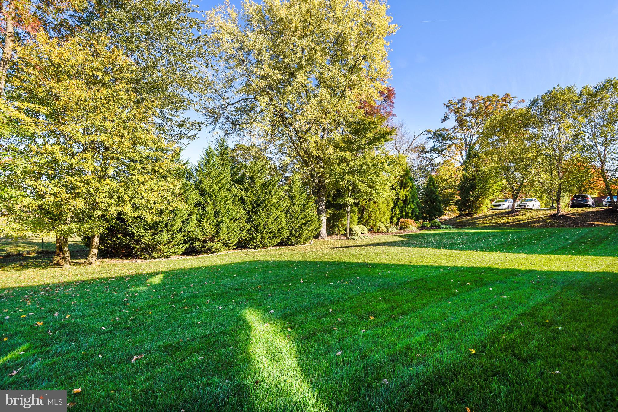 MONTICELLO - Residential Lease