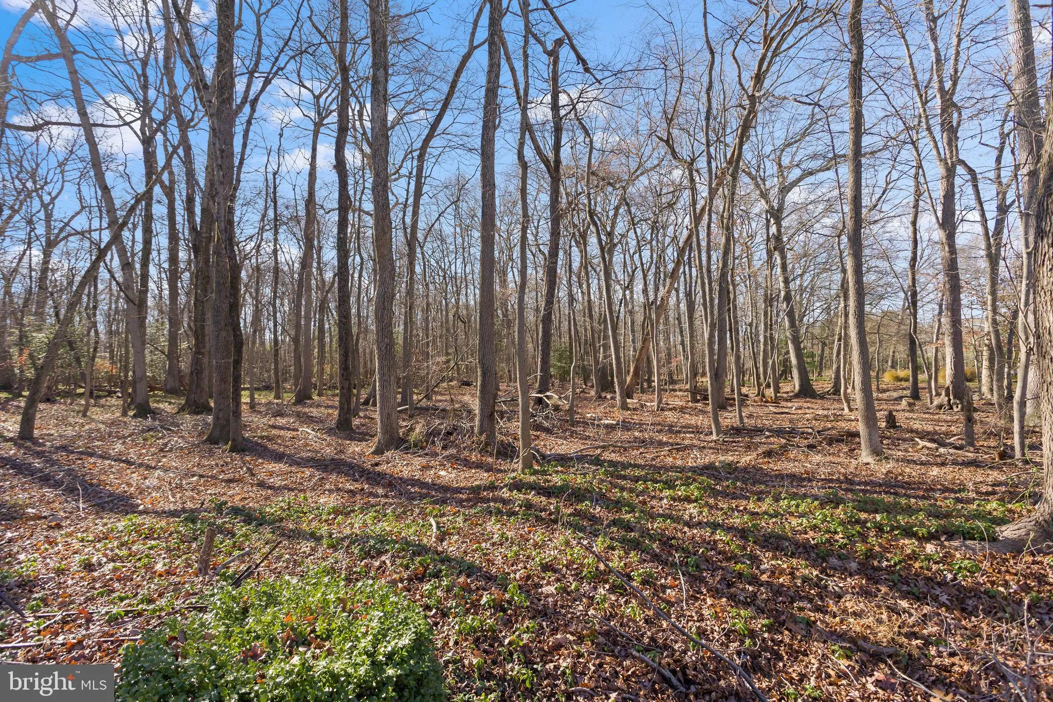 Mount Laurel, New Jersey 08054, United States, 3 Bedrooms Bedrooms, ,3 BathroomsBathrooms,Residential,Coming Soon,248228