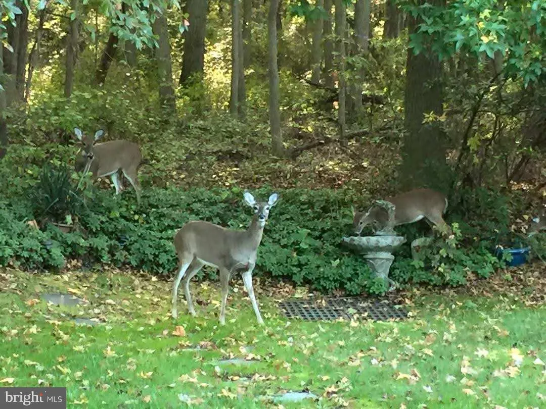 Mount Laurel, New Jersey 08054, United States, 3 Bedrooms Bedrooms, ,3 BathroomsBathrooms,Residential,Coming Soon,248228