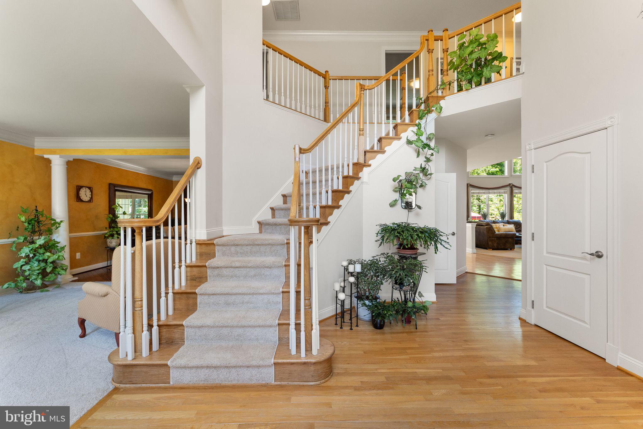 OAKTON WOODS - Residential