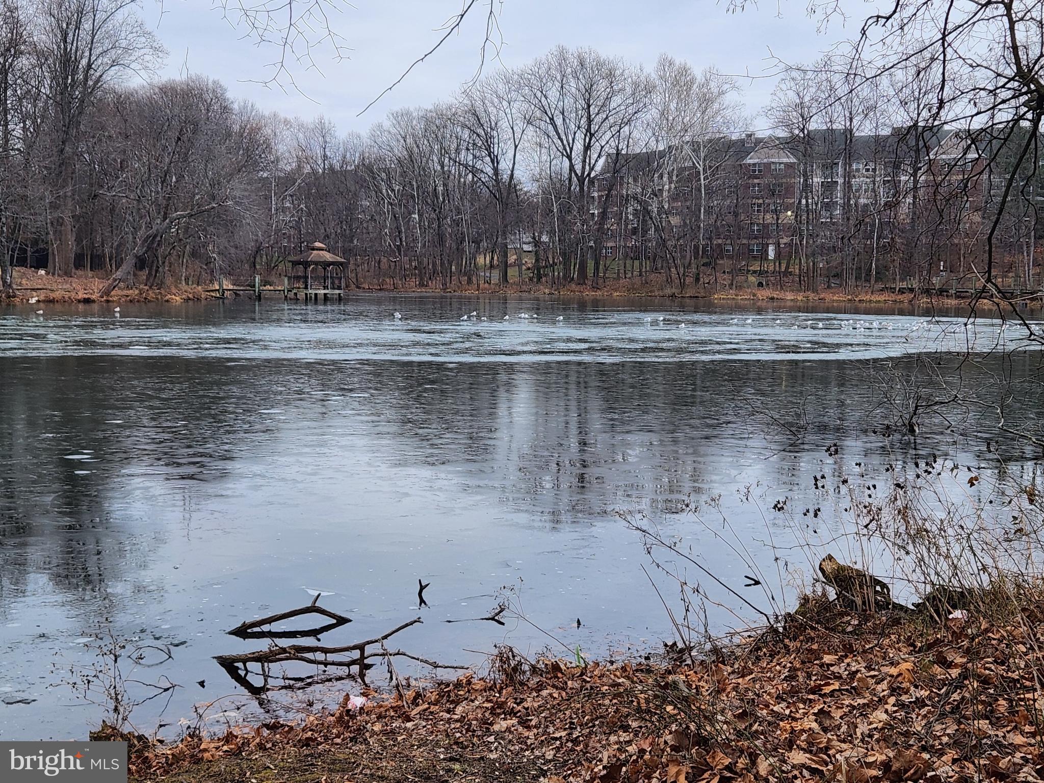 LARGO TOWN CENTER CONDOMINIUMS - Residential