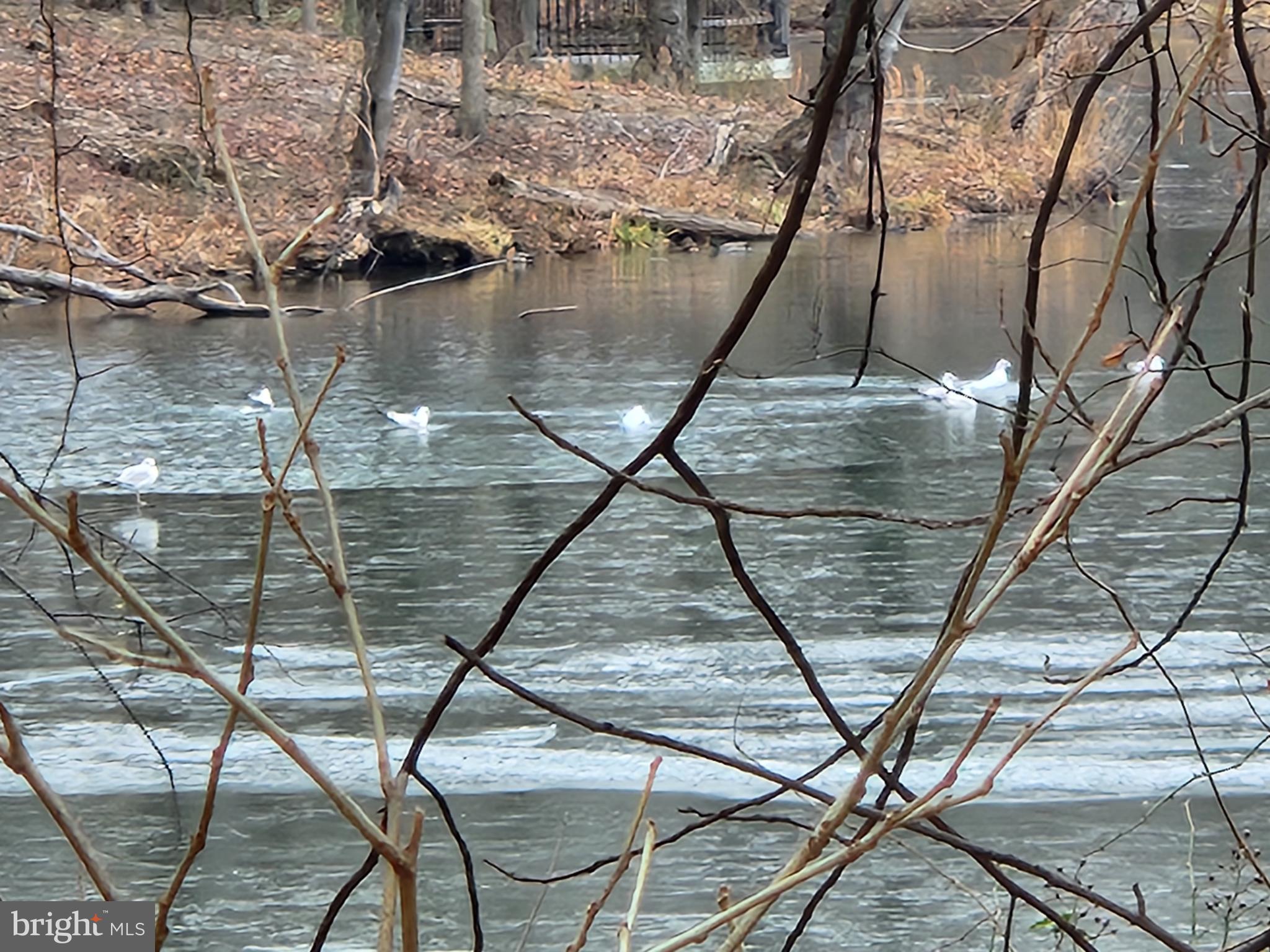 LARGO TOWN CENTER CONDOMINIUMS - Residential