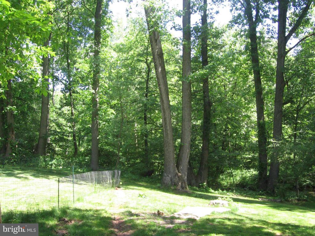 SPEEDWELL FORGE - Residential