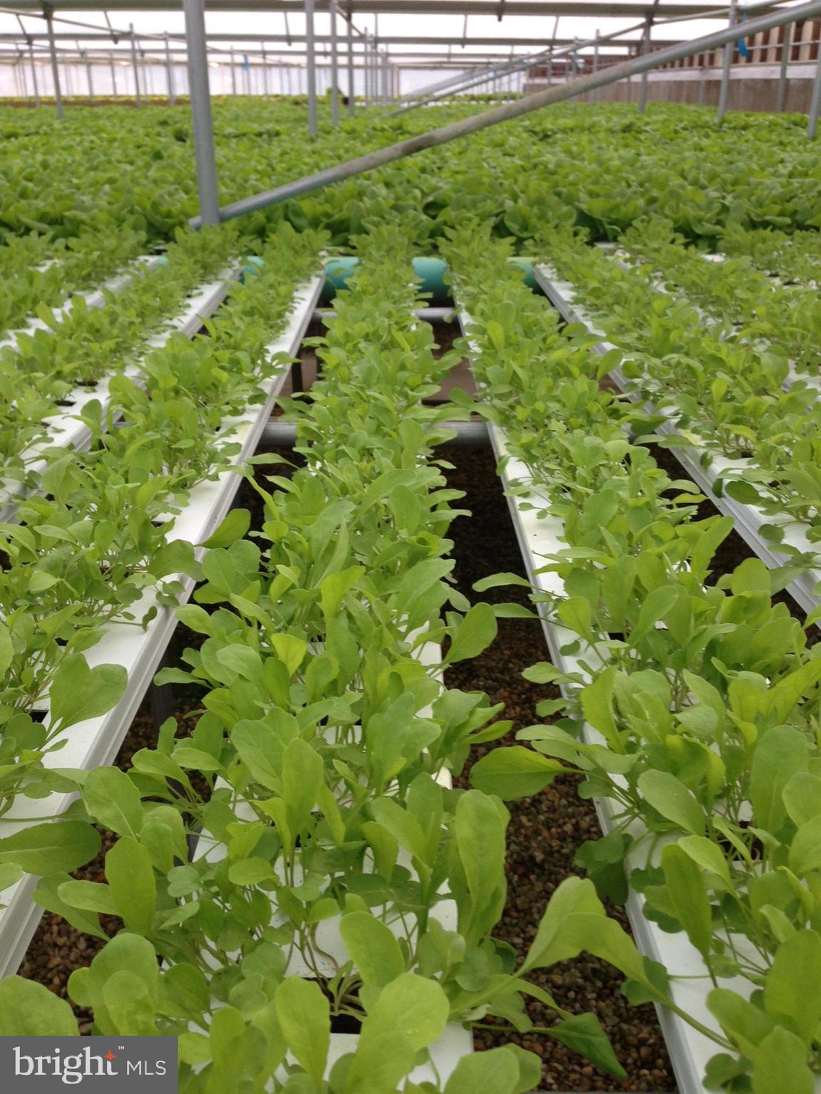 SUDLERSVILLE - Residential