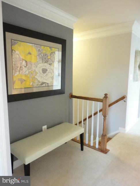 WATERFORD HILLS - Residential