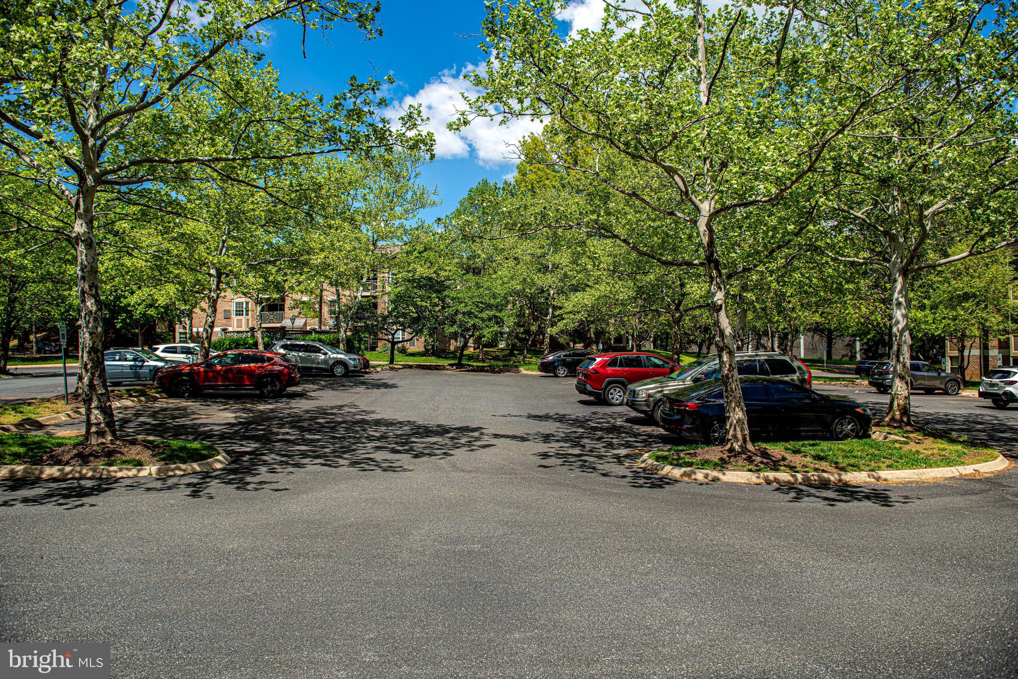 THE POINTE - Residential