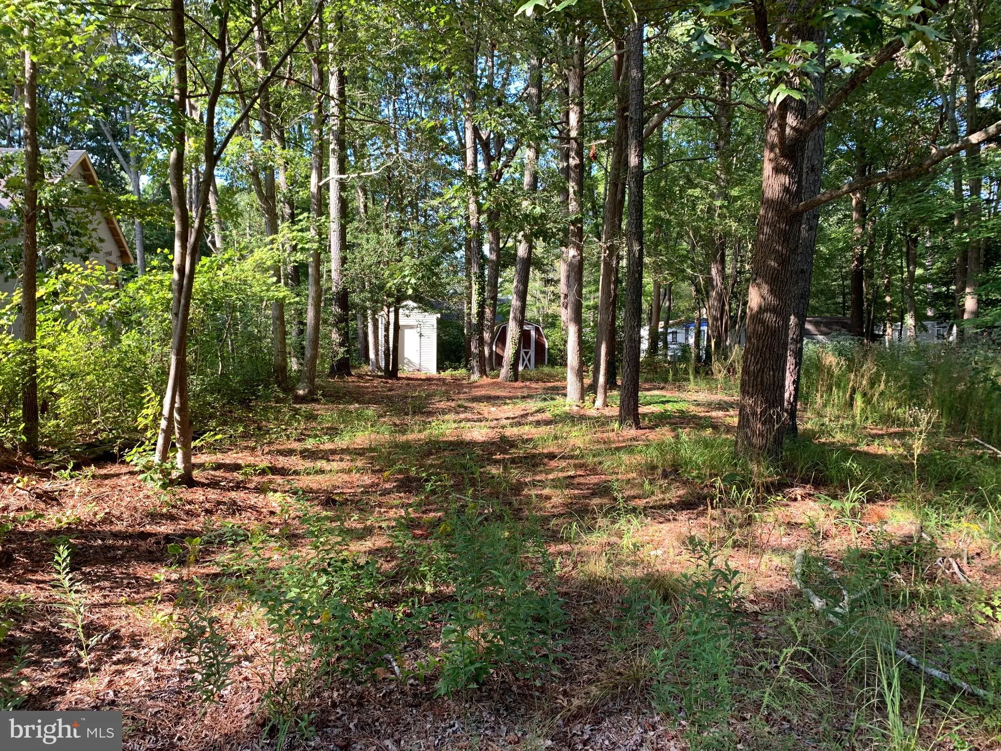 37543 Birch Street, Ocean View, DE 19970