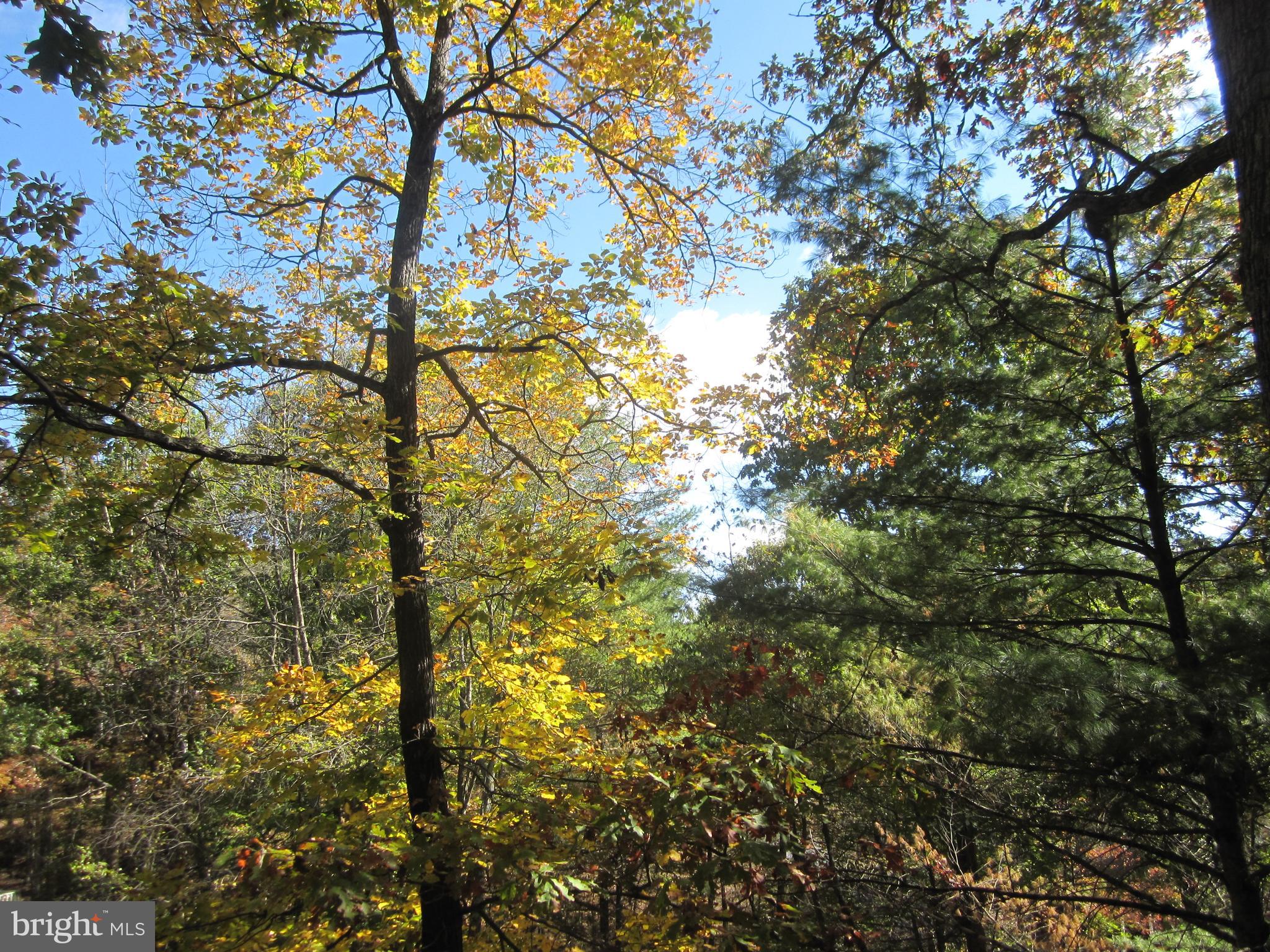 LAKEVIEW PEDESTAL HOMES - Residential