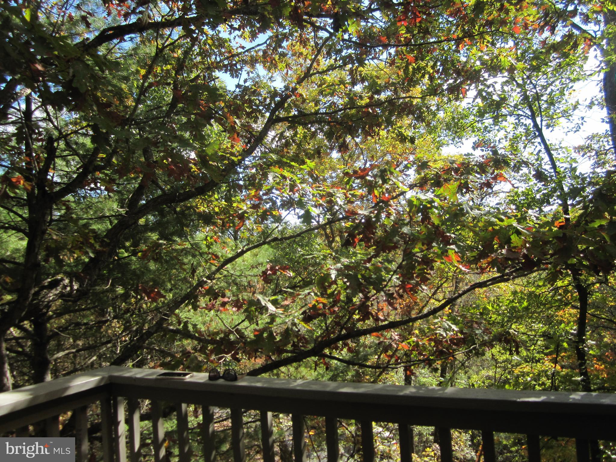 LAKEVIEW PEDESTAL HOMES - Residential