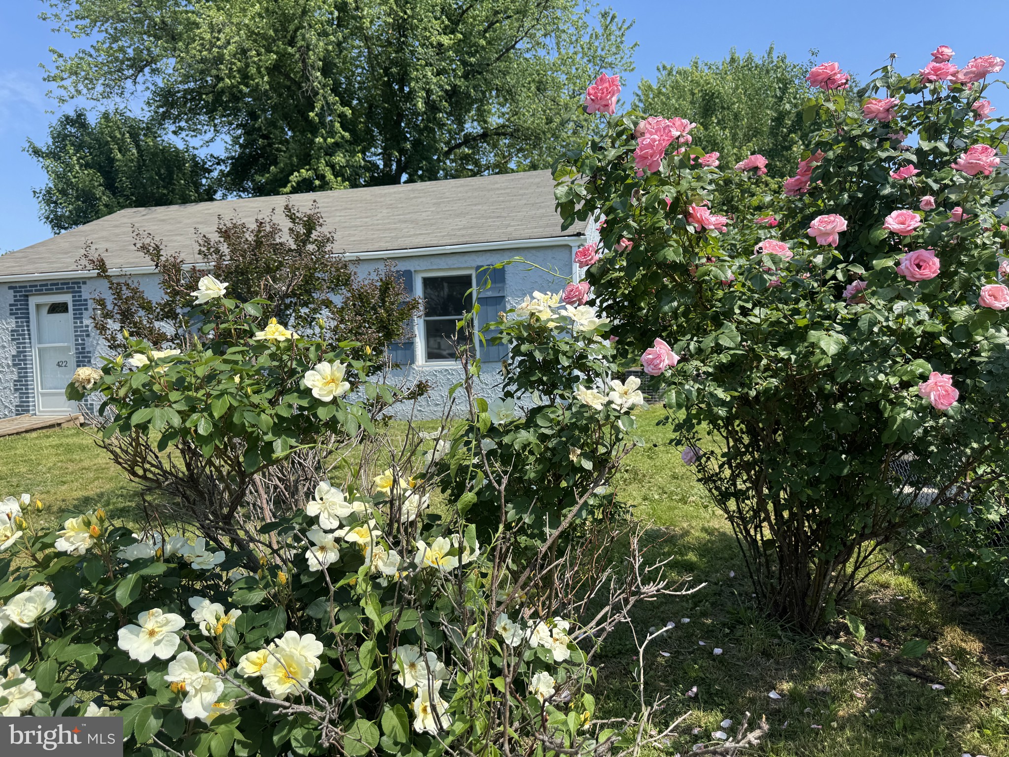 COLLINS PARK - Residential
