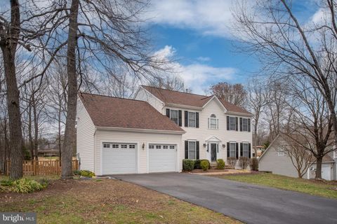 listing image 62