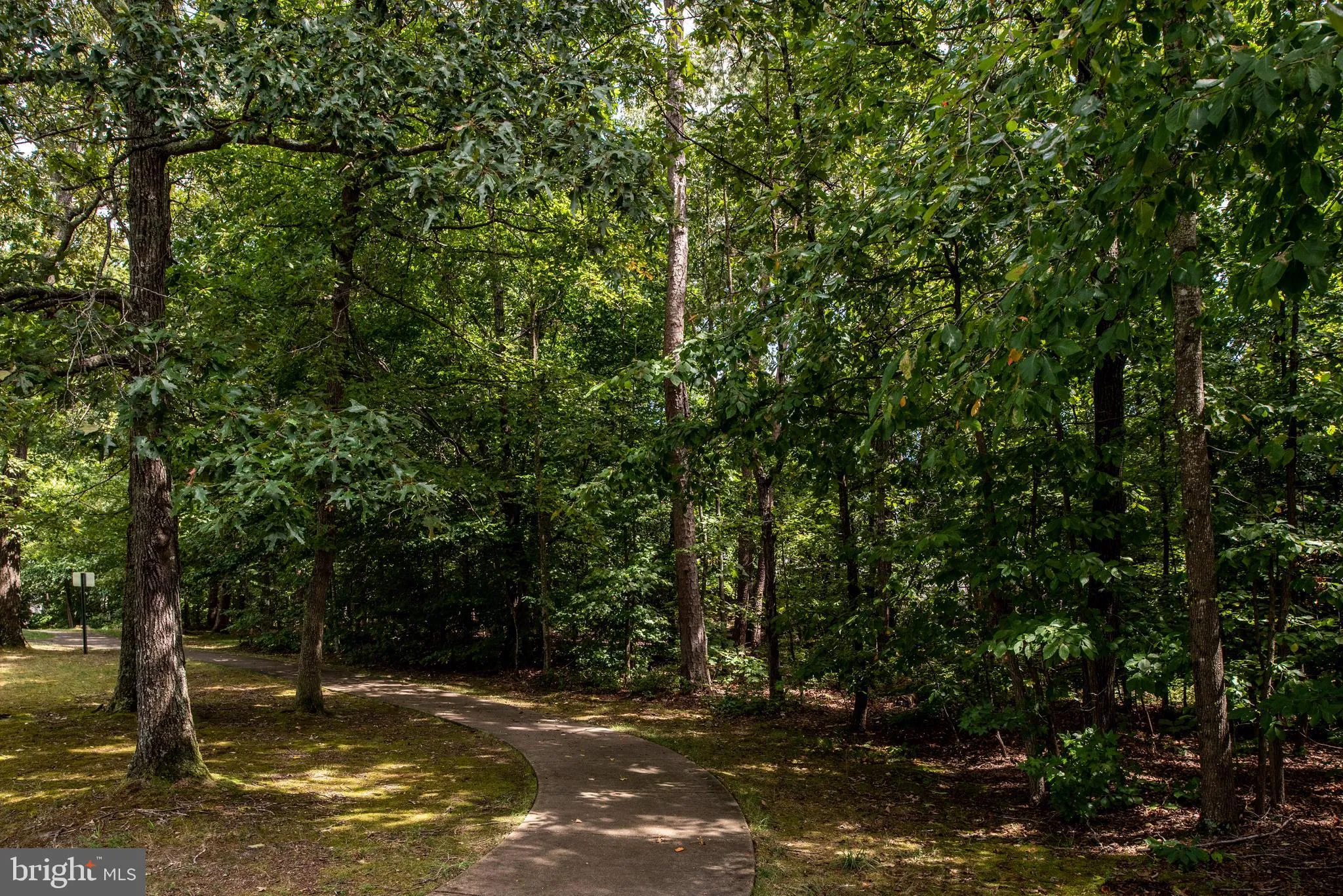 Fredericksburg, Virginia 22408, United States, 4 Bedrooms Bedrooms, ,4 BathroomsBathrooms,Residential,Active,96999