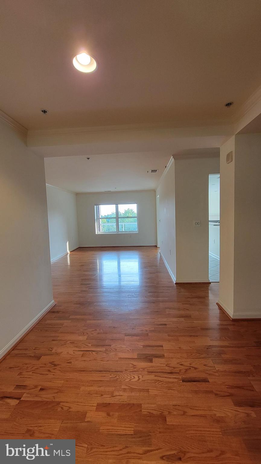 12240 ROUNDWOOD ROAD 604