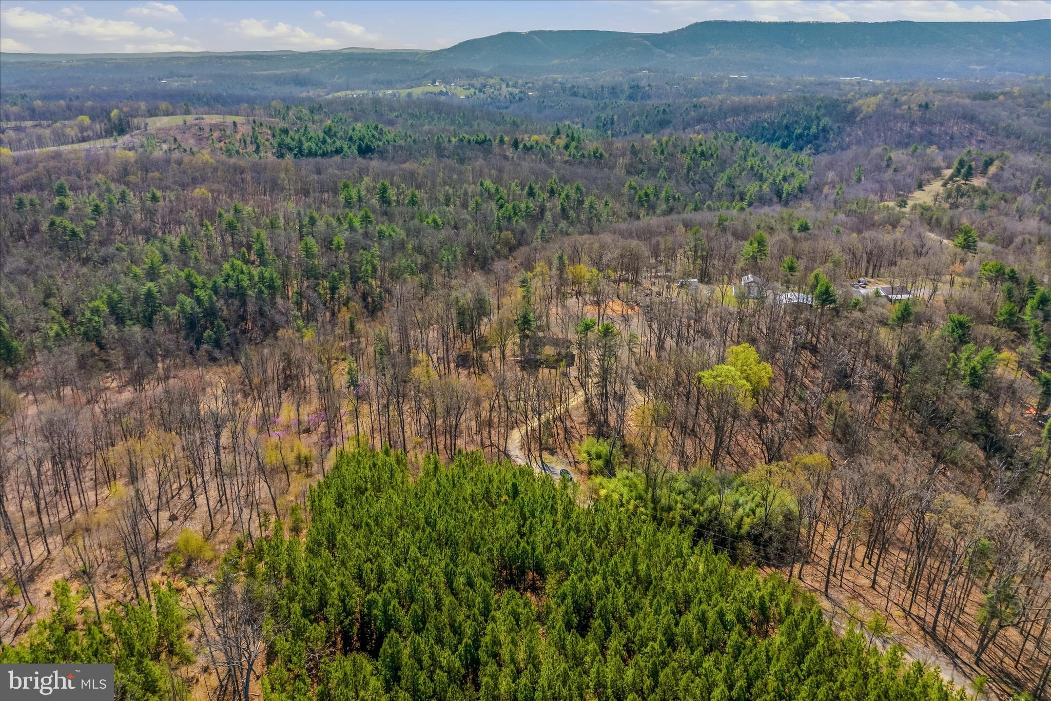 DOGWOOD RIDGE - Residential