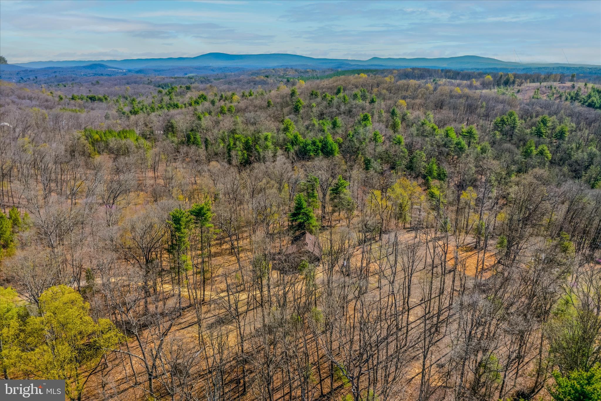 DOGWOOD RIDGE - Residential