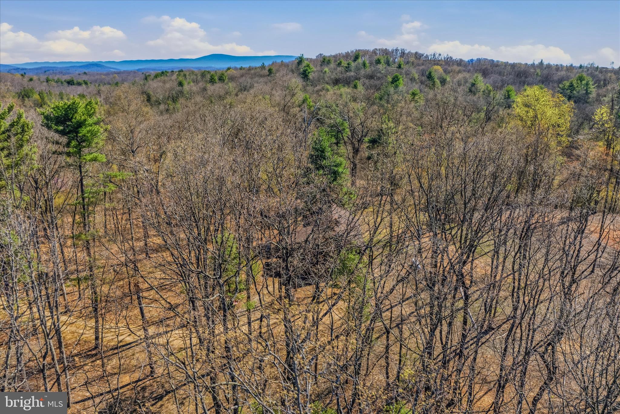 DOGWOOD RIDGE - Residential