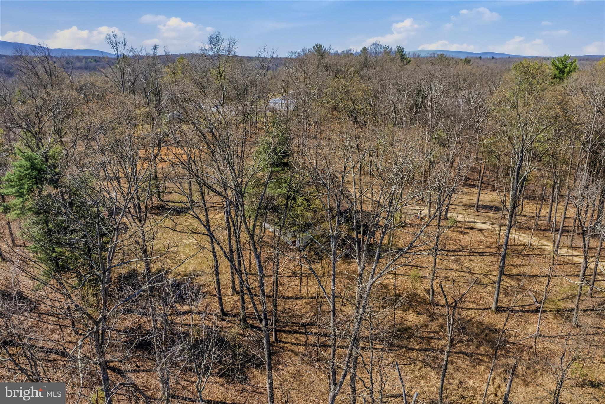 DOGWOOD RIDGE - Residential