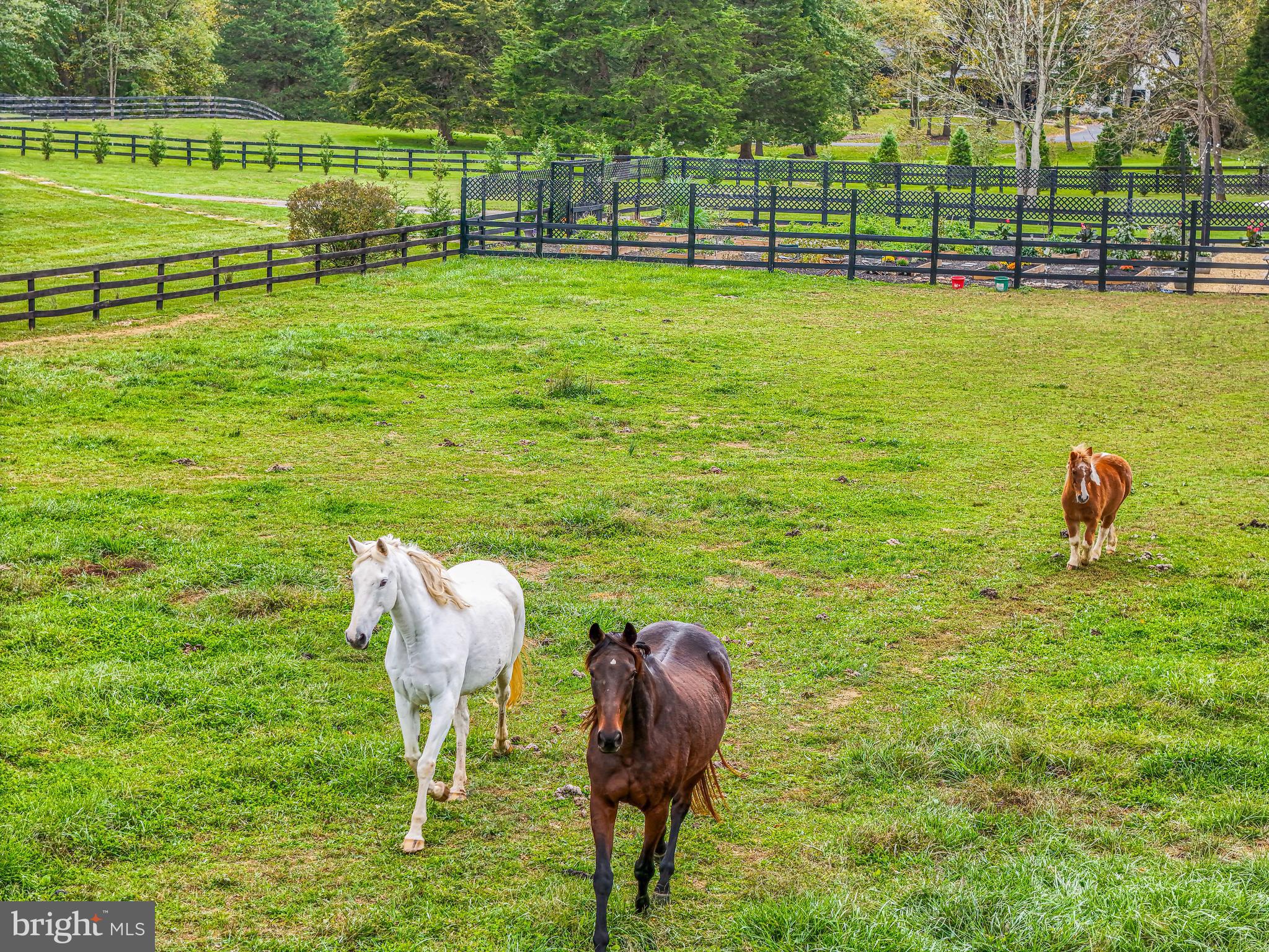 FOUR CHIMNEYS - Residential