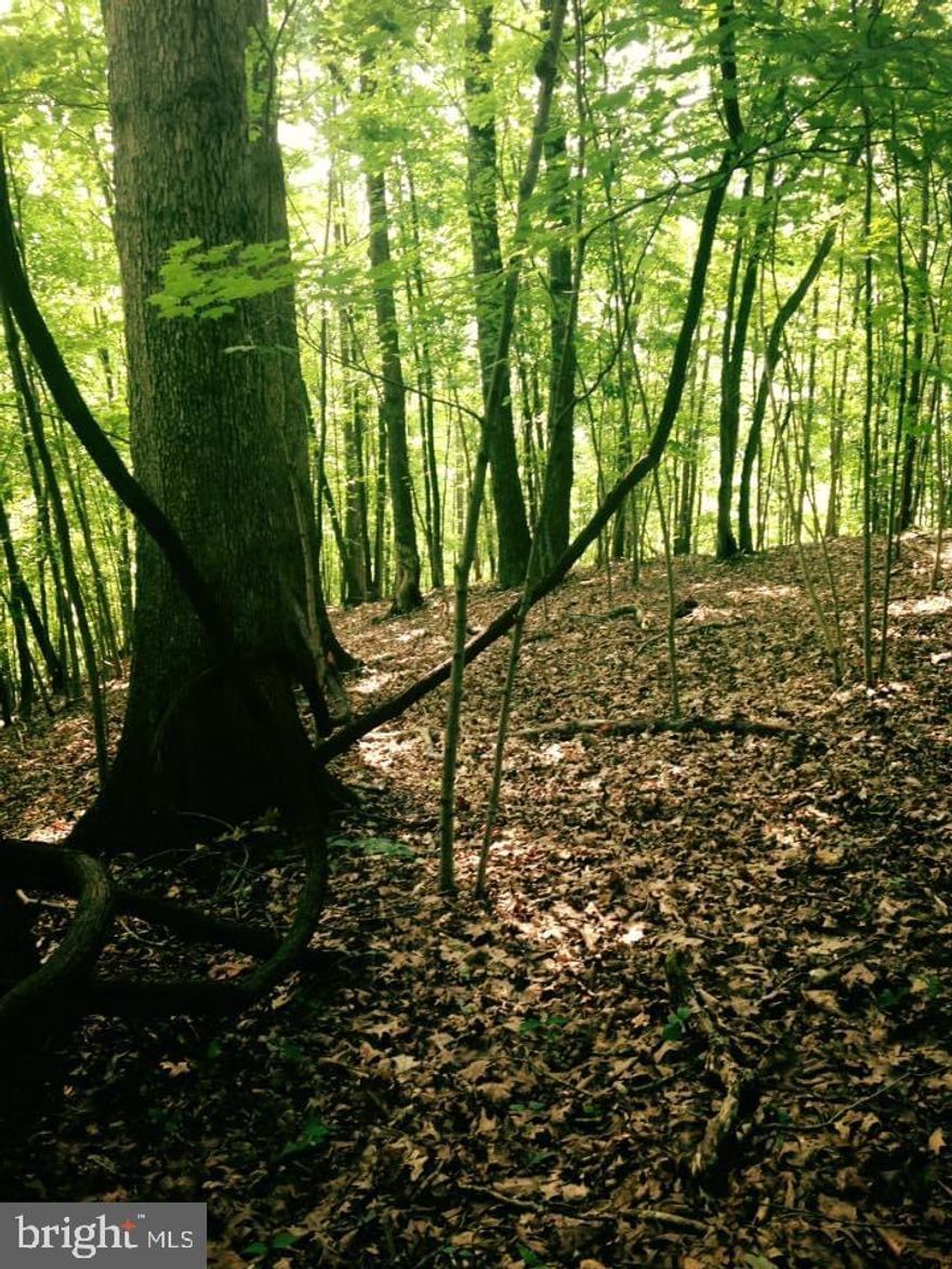 Excellent opportunity for an investor, developer, or builder to build on 4.995 acres of land located close enough to town but far enough to enjoy the perks of country living! Conveniently located  only 13 miles from Virginia Tech and 23 from Redford University.    Beautiful raw, wooded land, zoned Residential with no HOA. This lot has previously been perked for 3  bedrooms. Go on out and take a look at this  breathtaking parcel!
  Echo Hills Road, ELLISTON, VA, 24087 (4.995 acres)  There is a sign on the property


Buyers need to express their due diligence and confirm all info with the county about the lot