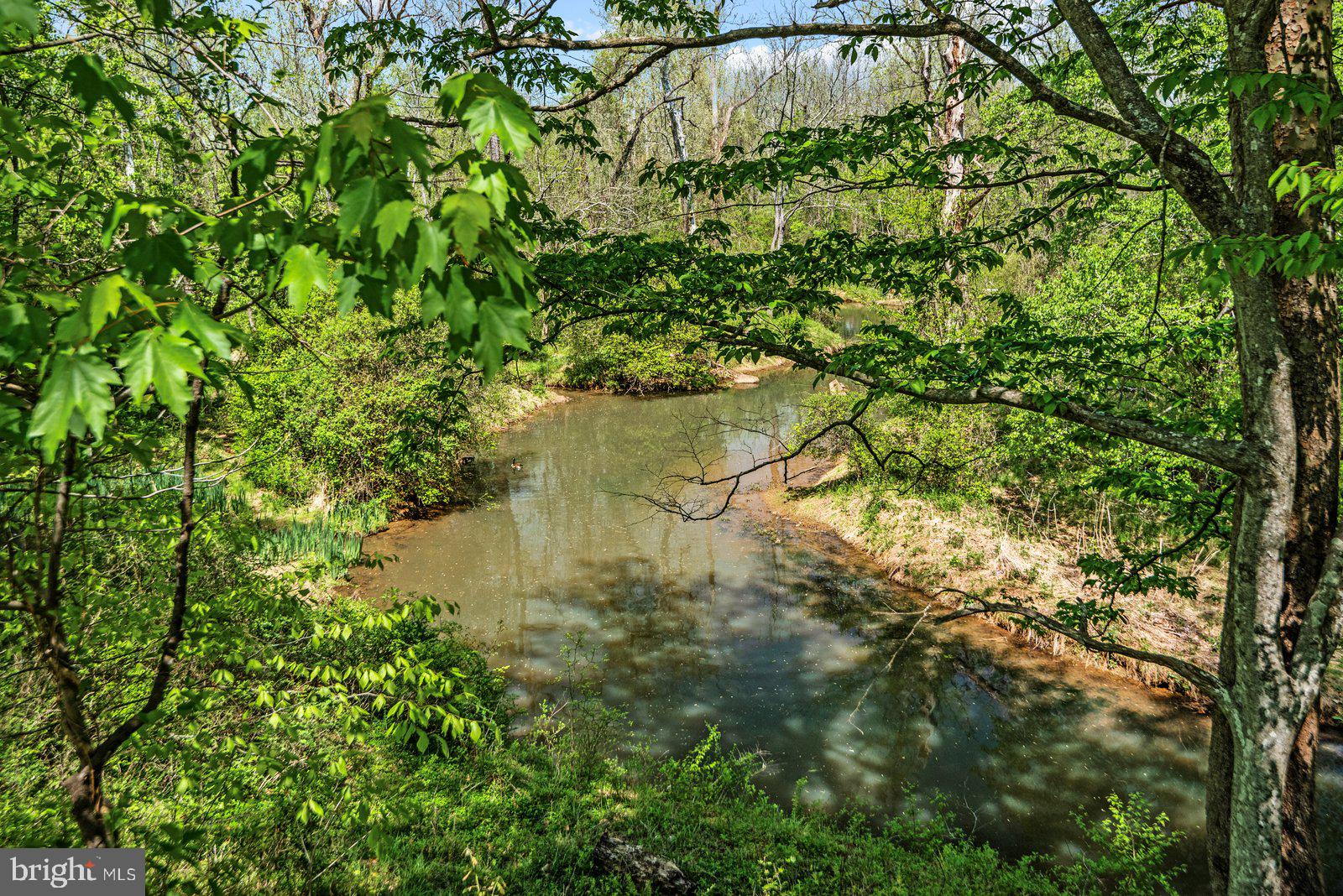 WARRENTON CHASE - Residential