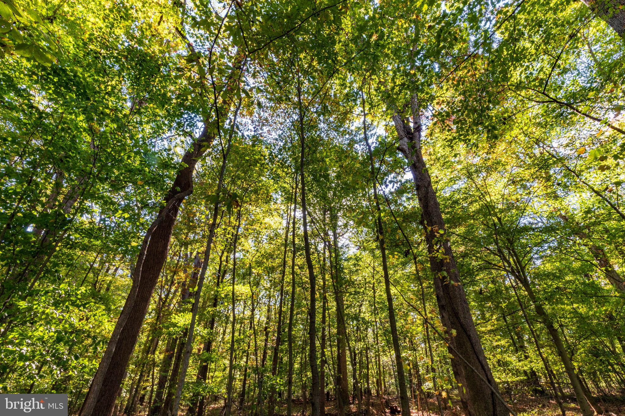 CARSINS RUN - Residential