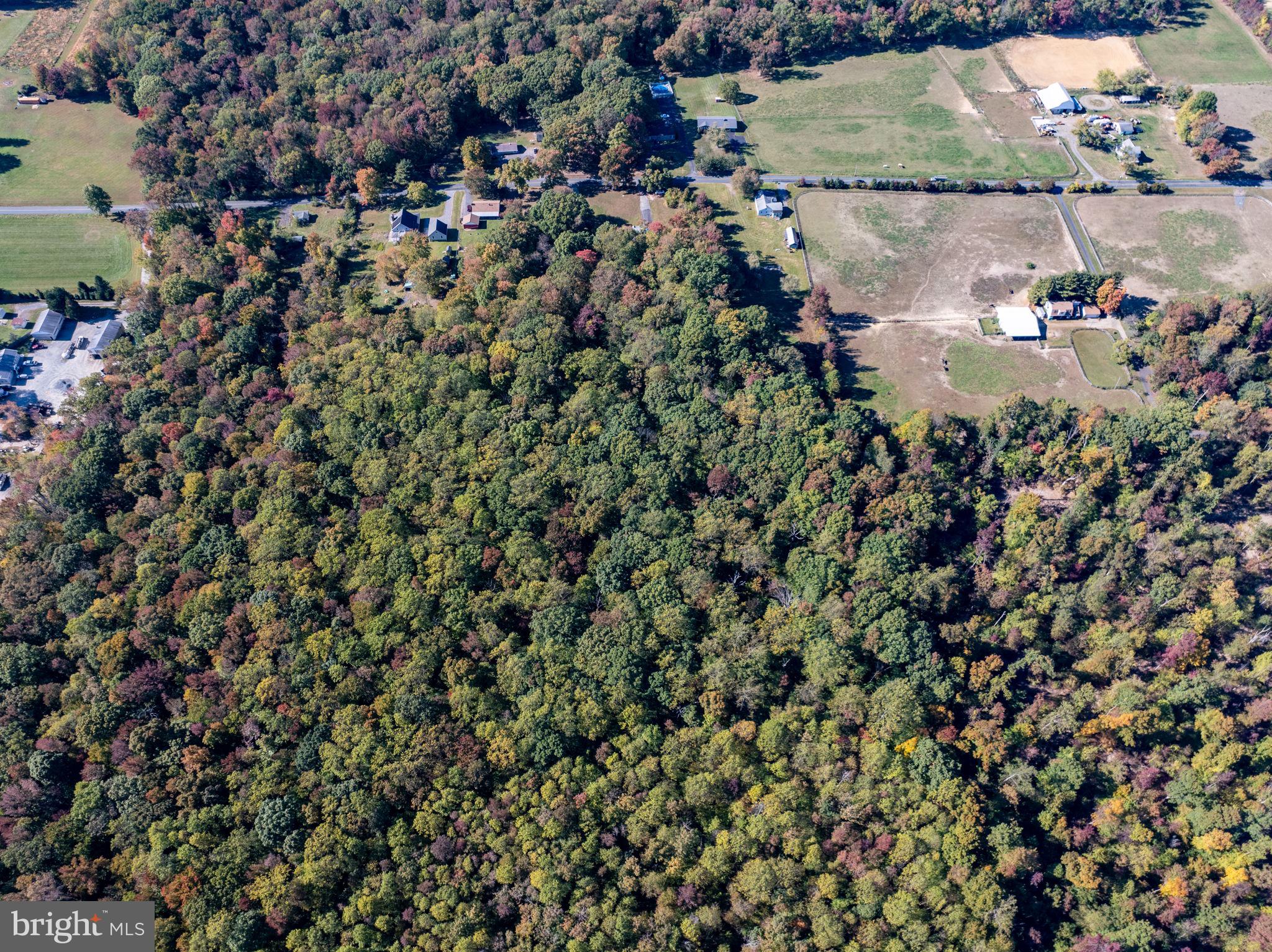 CARSINS RUN - Residential