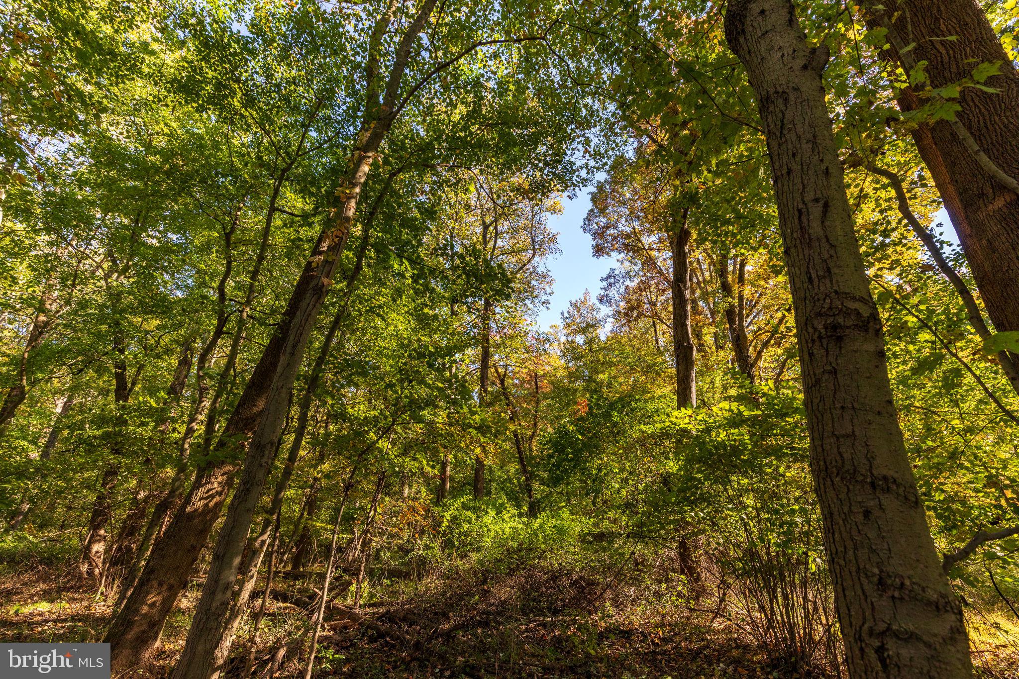 CARSINS RUN - Residential