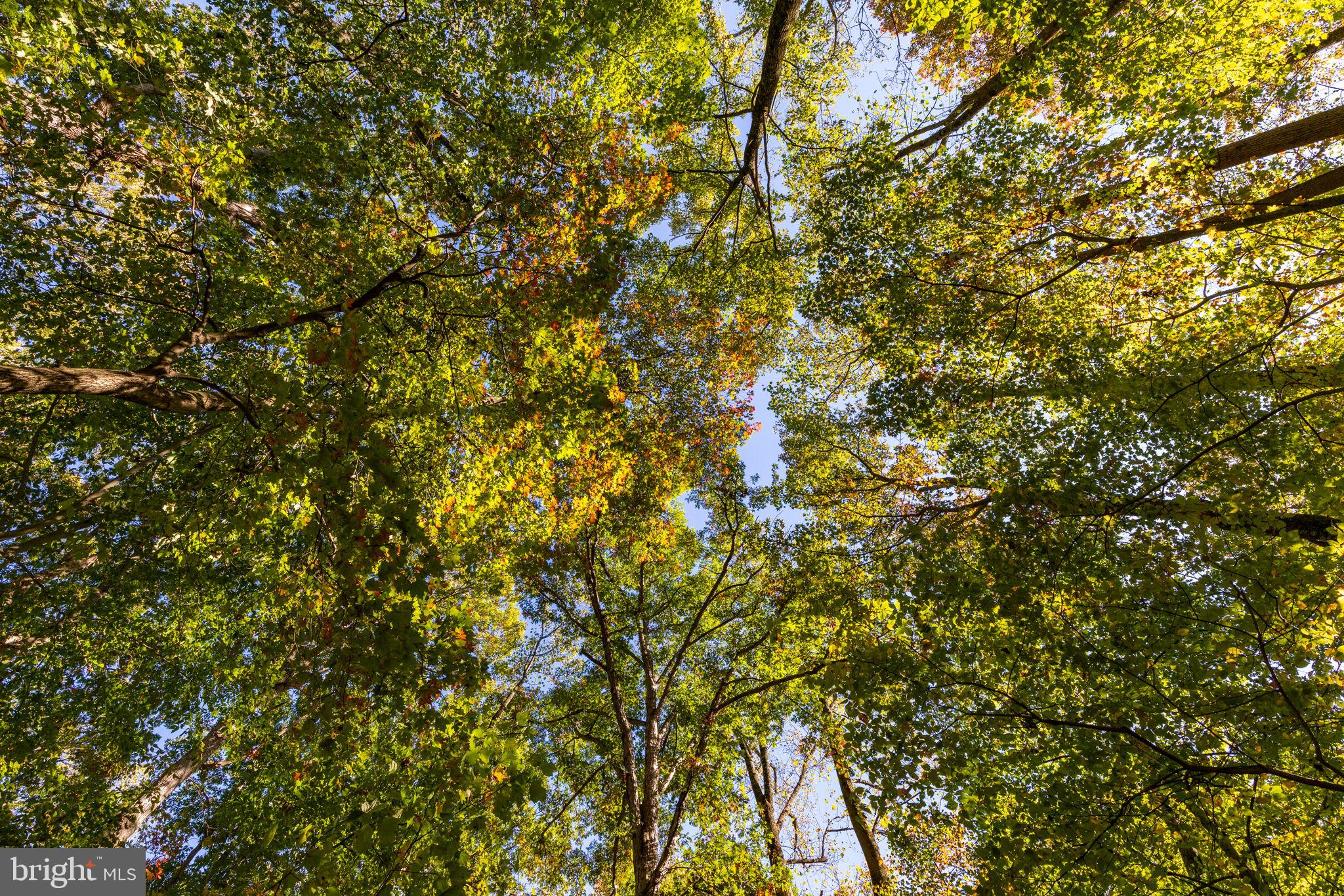 CARSINS RUN - Residential