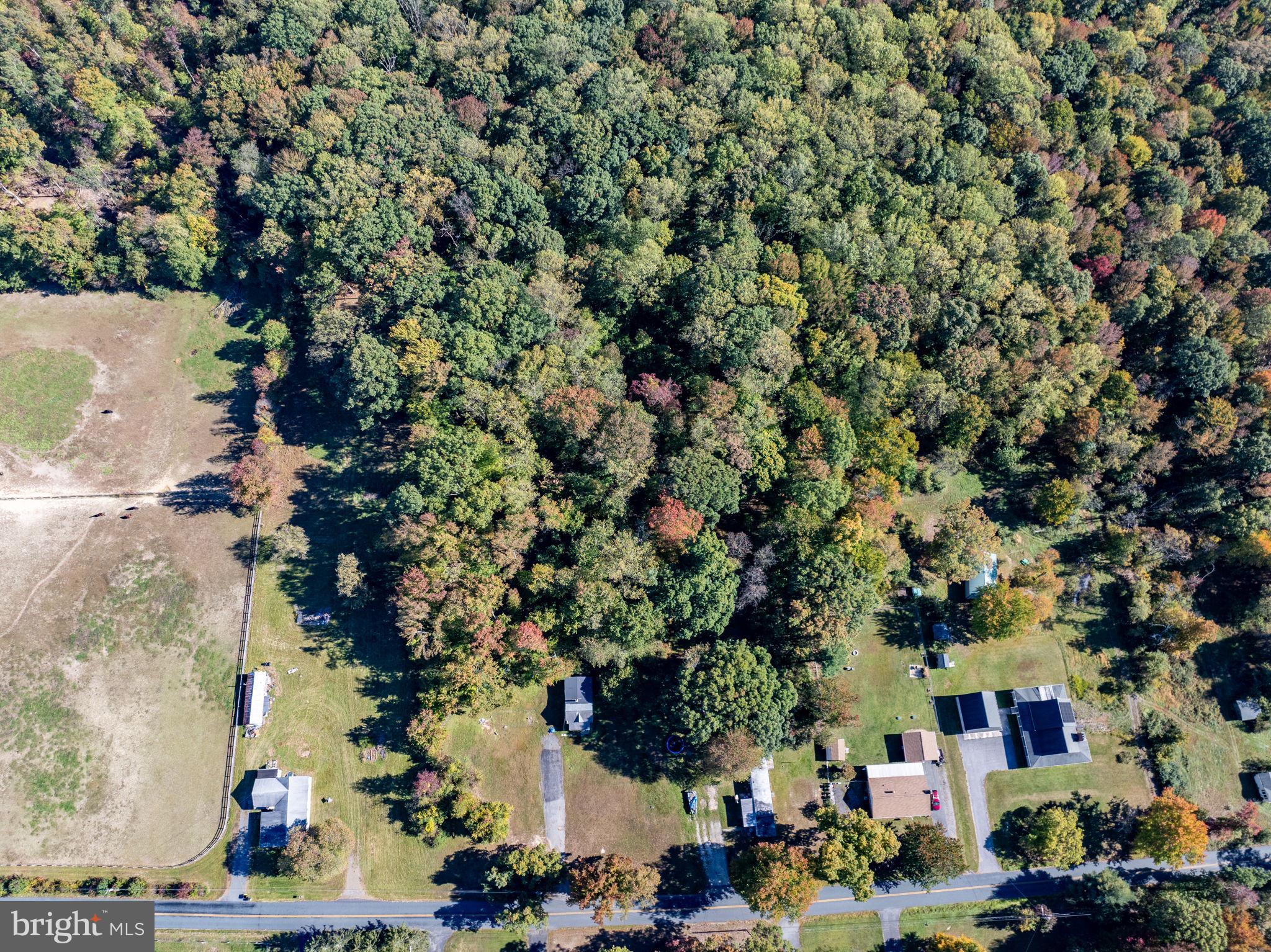 CARSINS RUN - Residential