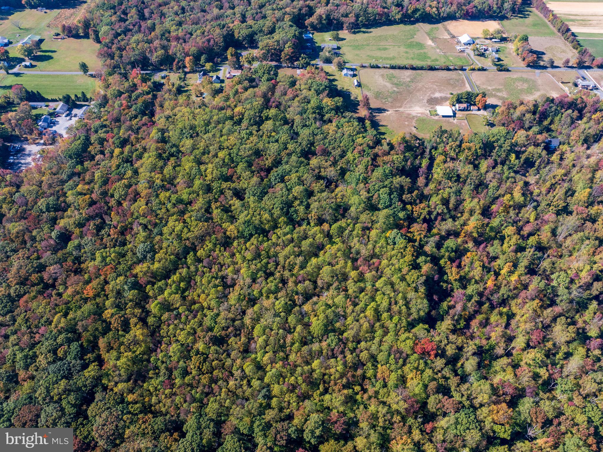 CARSINS RUN - Residential