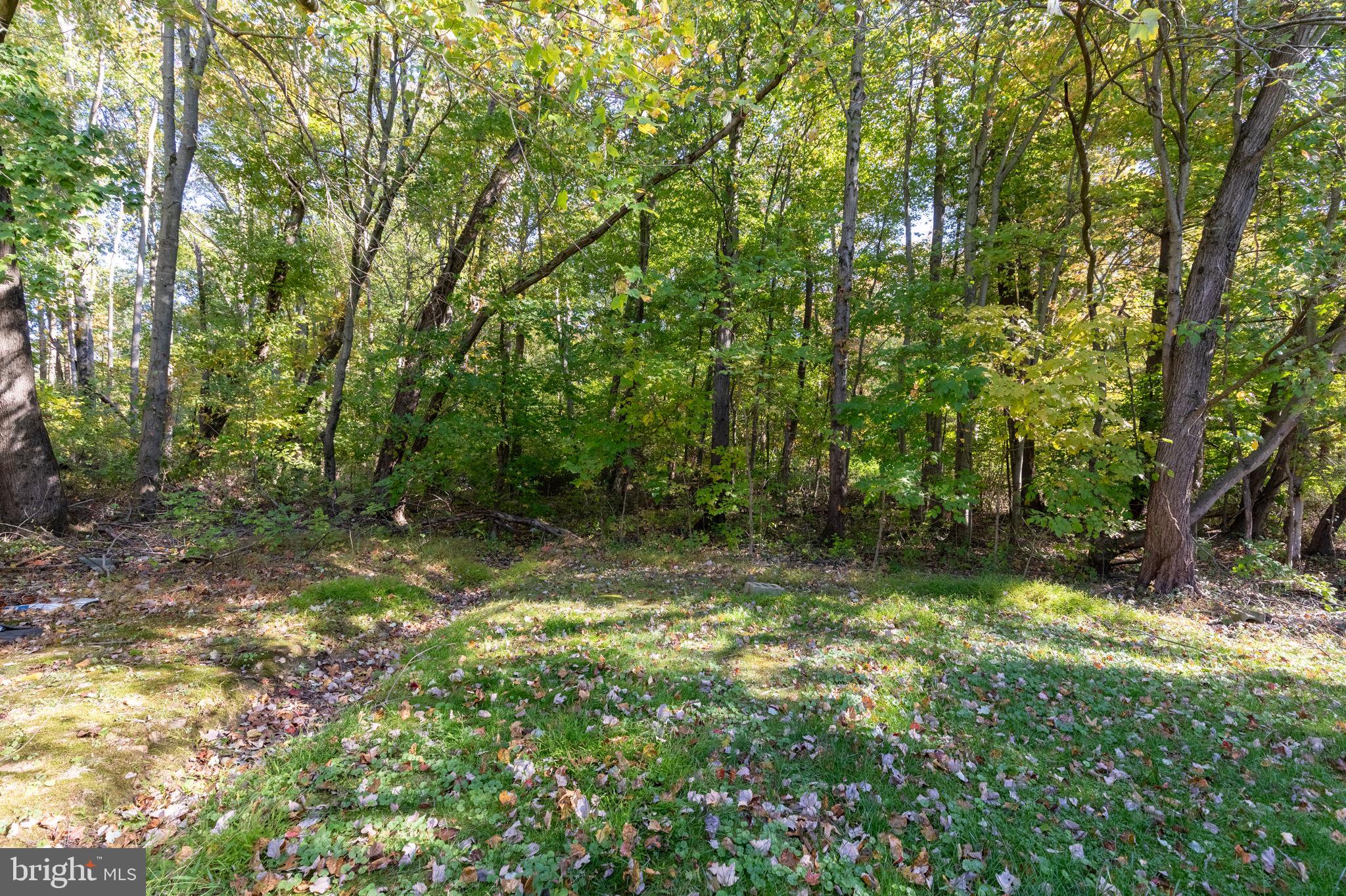 CARSINS RUN - Residential