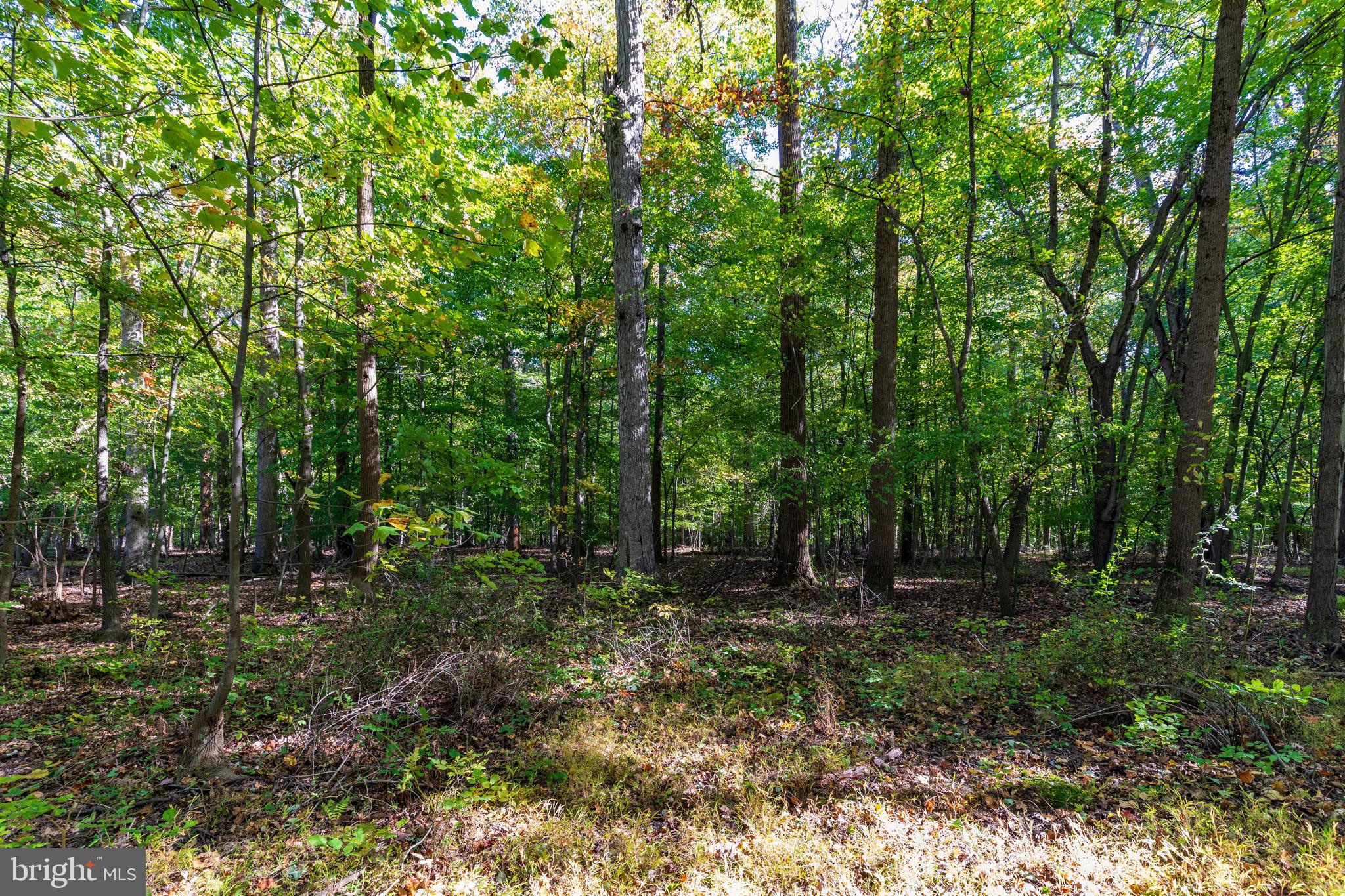 CARSINS RUN - Residential