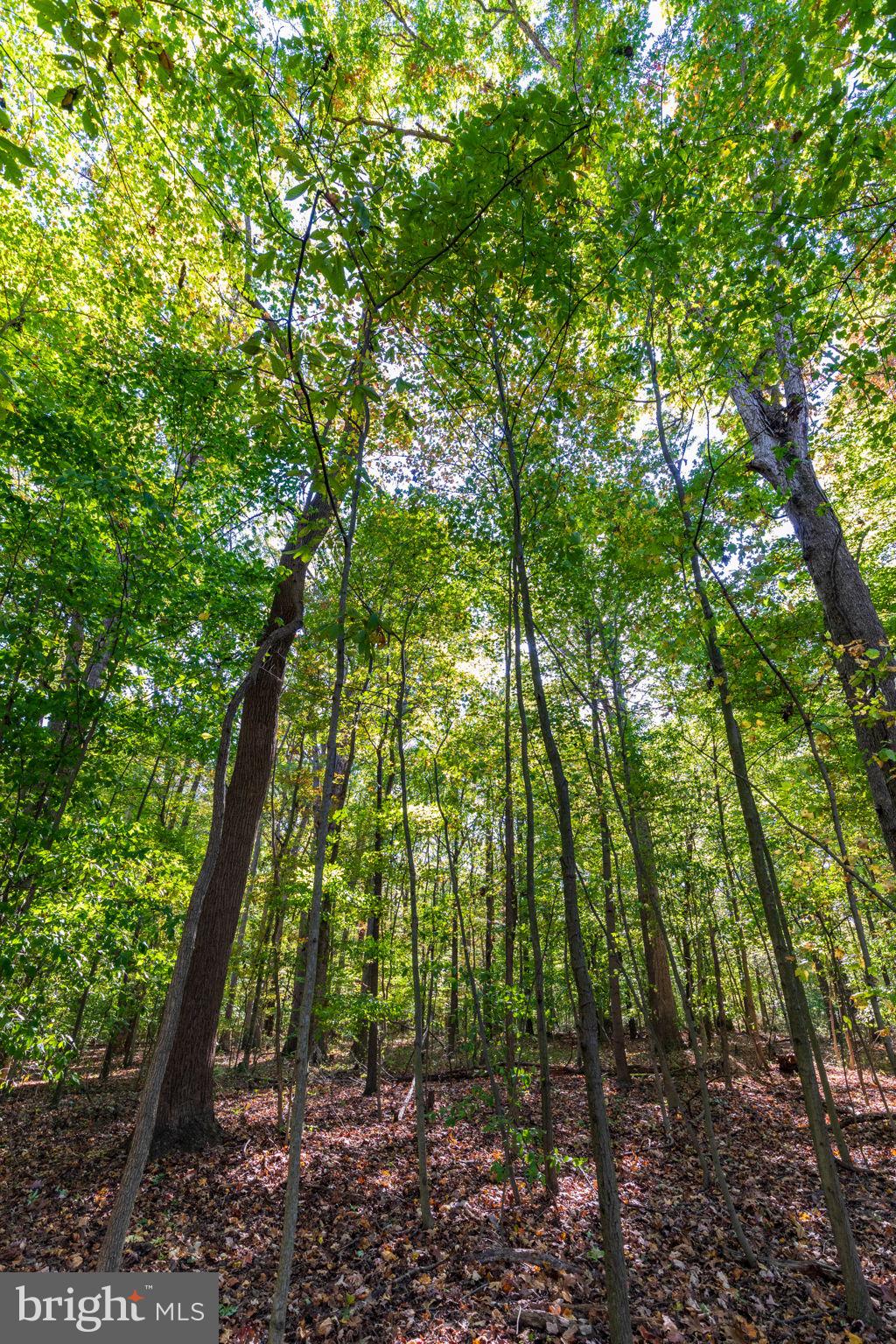 CARSINS RUN - Residential