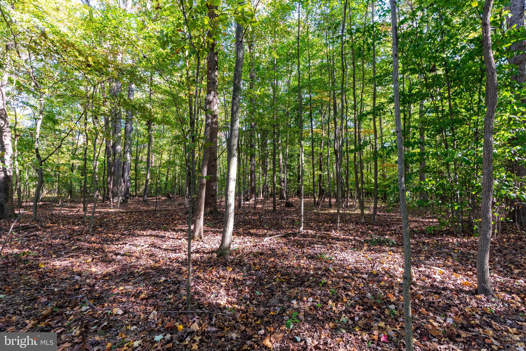 CARSINS RUN - Residential