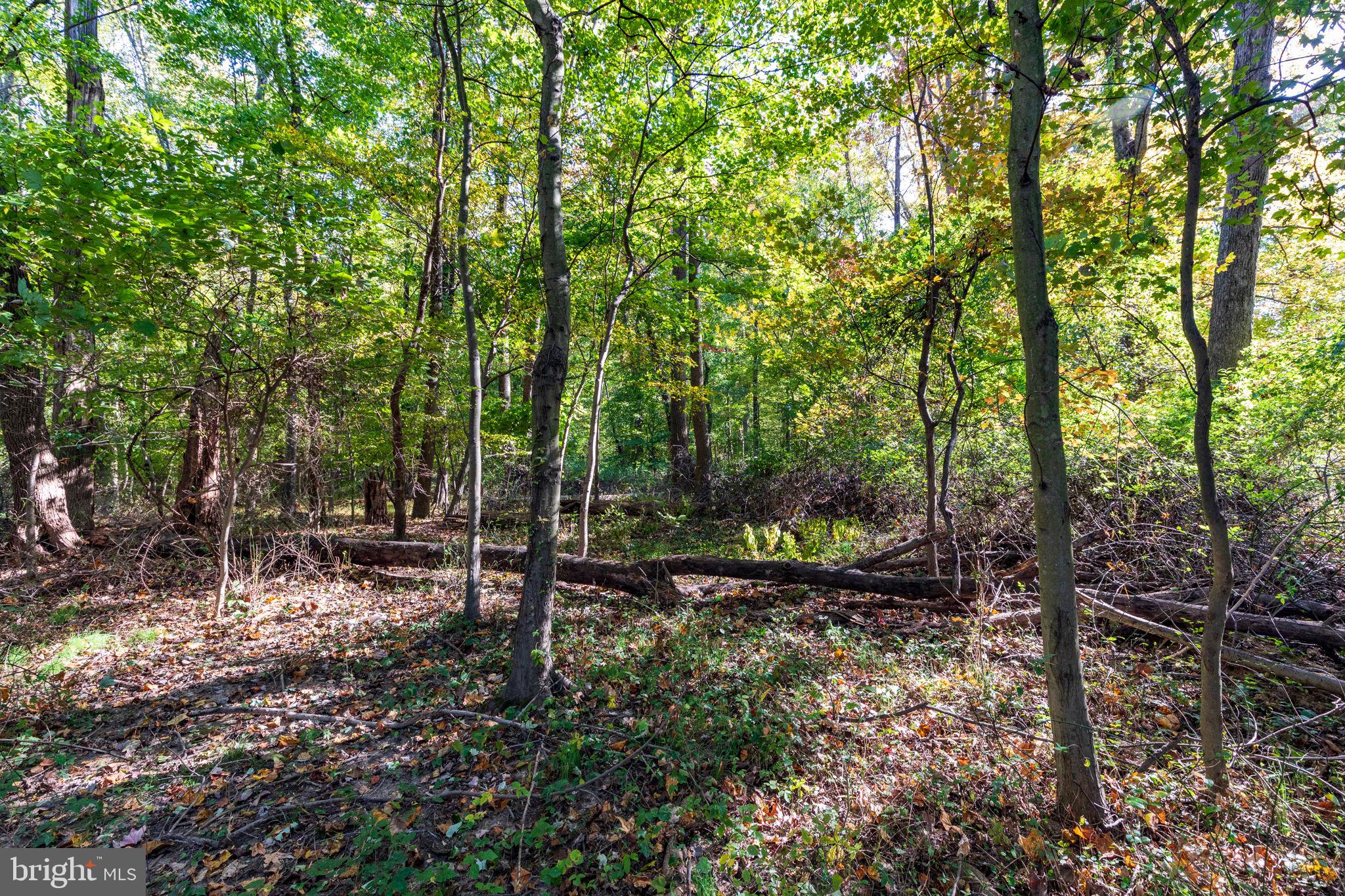 CARSINS RUN - Residential